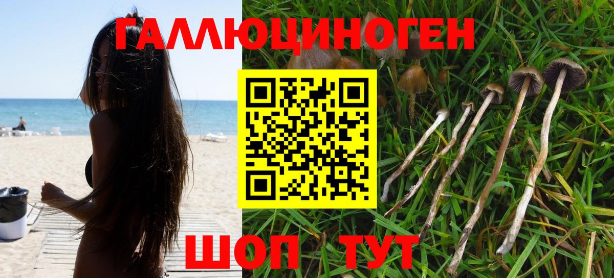 Галлюциногенные грибы GOLDEN TEACHER  Вход с VPN  Еманжелинск  сколько стоит  Галлюциногенные грибы Cubensis 